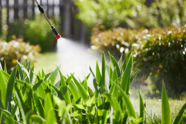 24/7 Emergency Termite Control experts in Kennedale, TX
